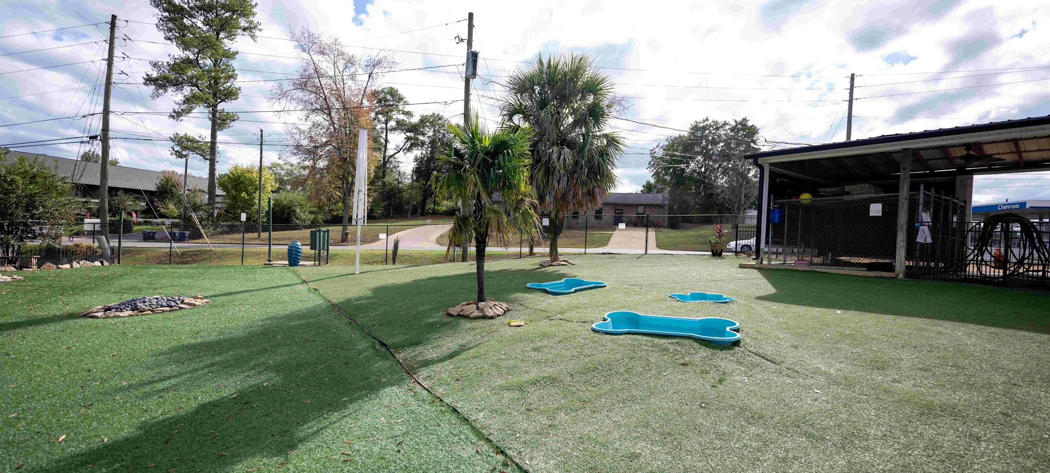 Club Mutt outdoor play area with pools Club Mutt outdoor play area with pools