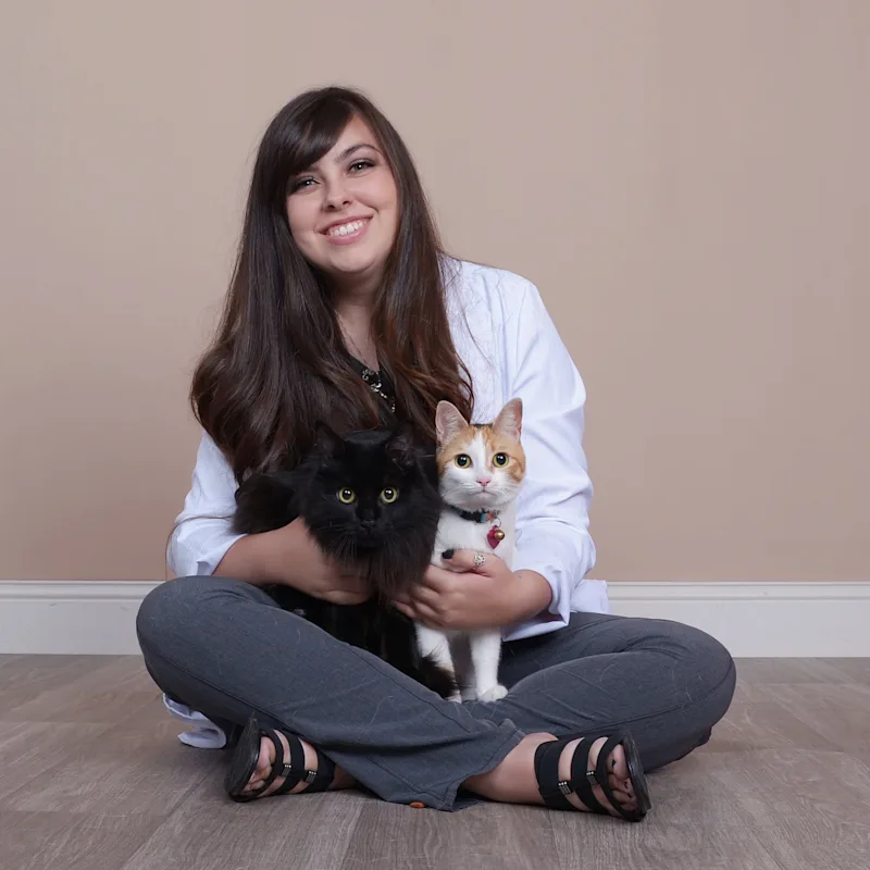 Dr. Chelsi Sheek Dr. Chelsi Sheek