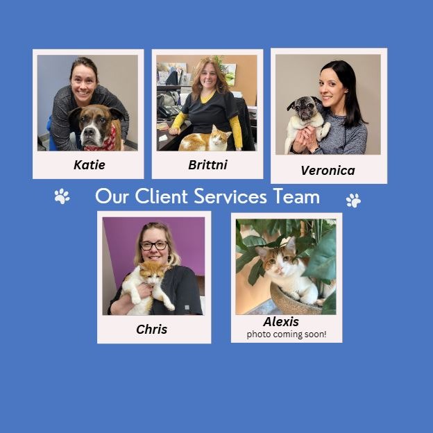 Four members of the client service team