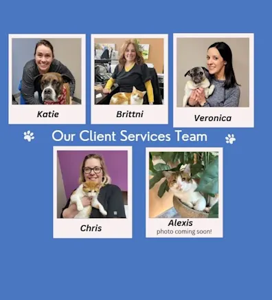 Four members of the client service team Four members of the client service team