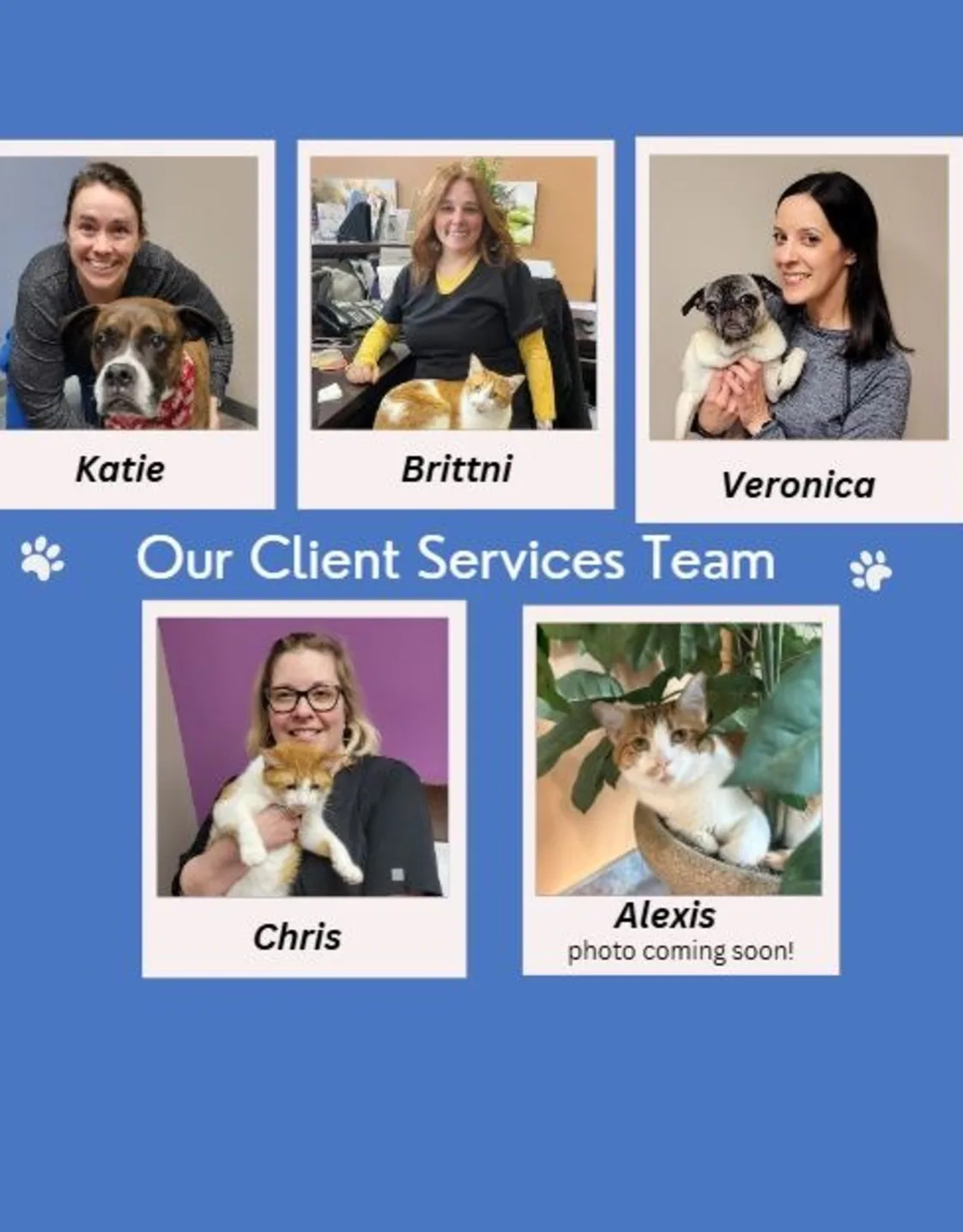 Four members of the client service team Four members of the client service team