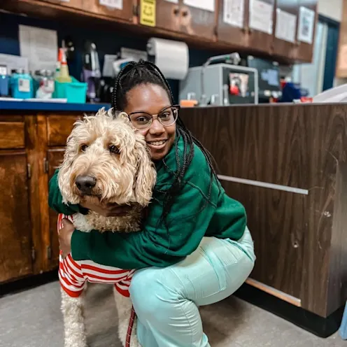 Staff member hugging a white dog Staff member hugging a white dog