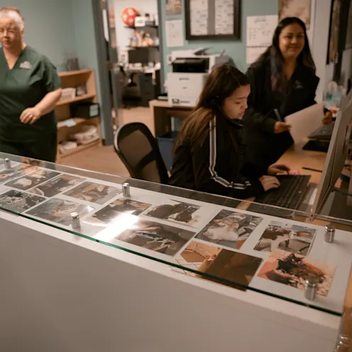 Reception Team Reception Team