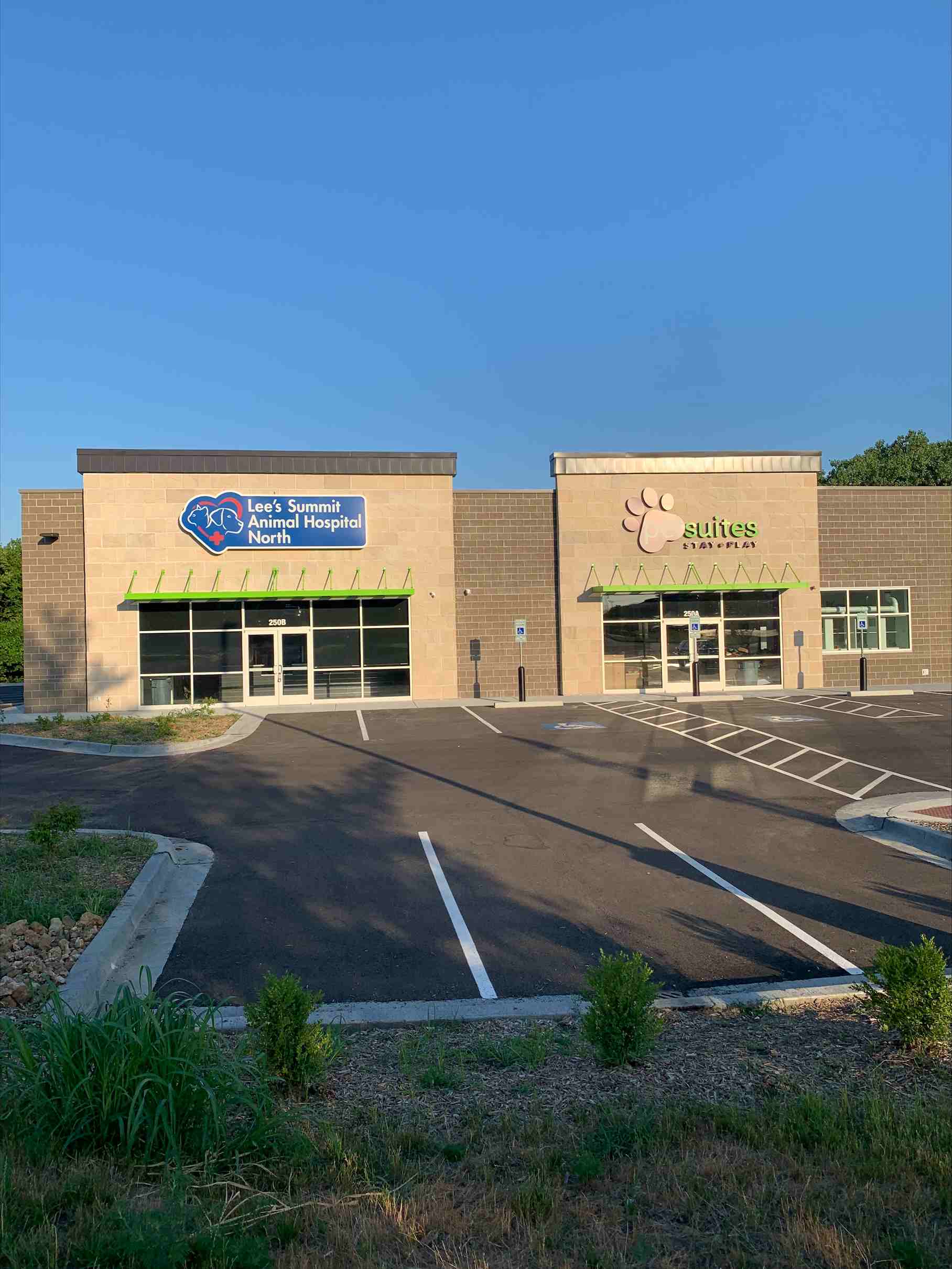 Veterinary Services in Lee's Summit, MO | Lee's Summit Animal Hospital North