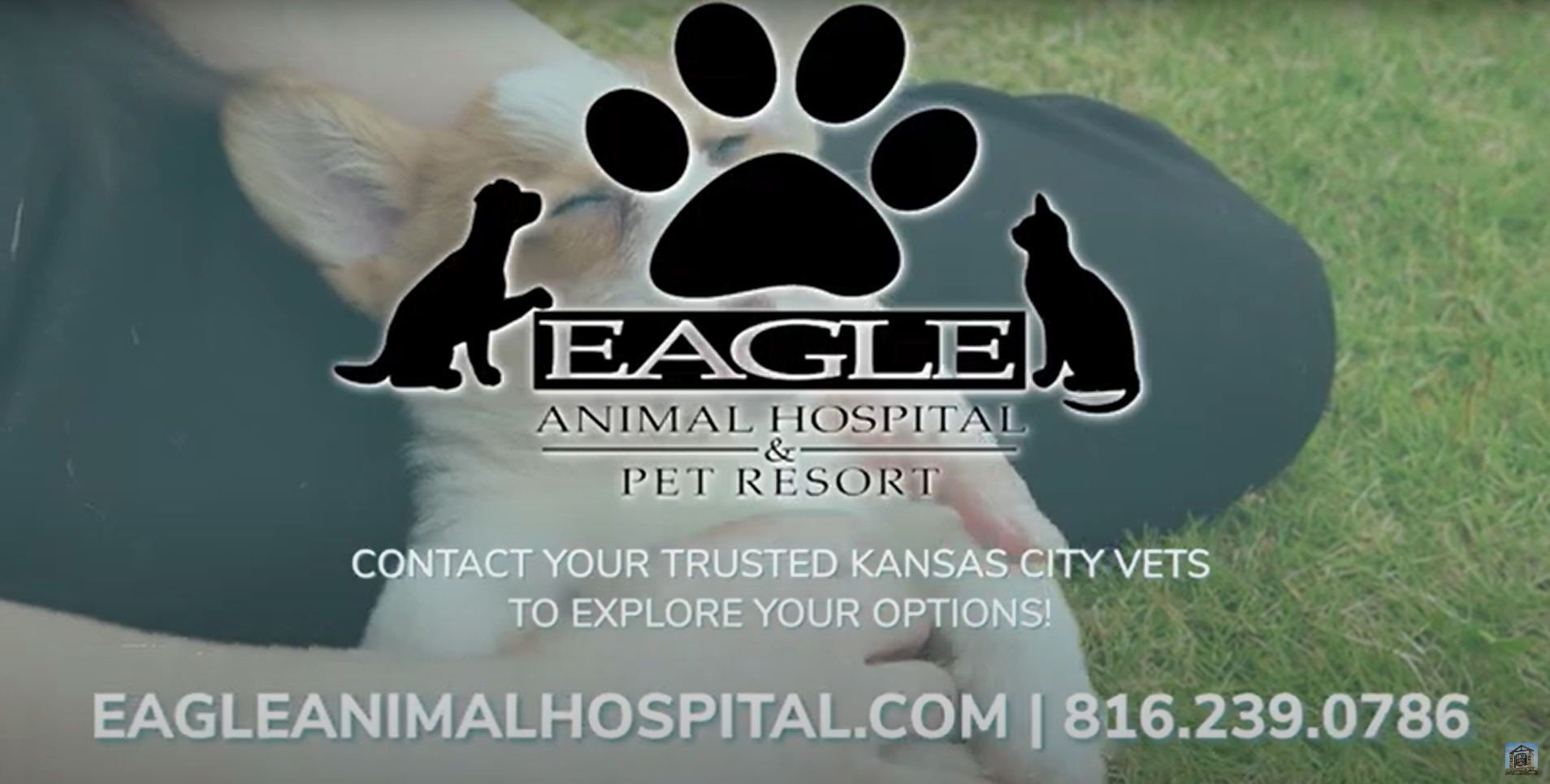 A thumbnail of a youtube video on dental care