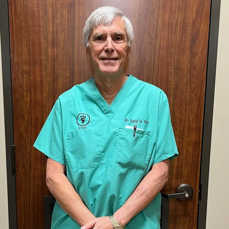 Dr. David Wulf Dr. David Wulf