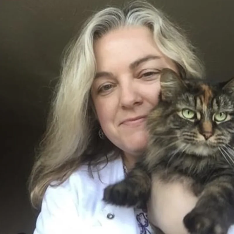 Dr. Janeen Junaid holding a tabby cat Dr. Janeen Junaid holding a tabby cat