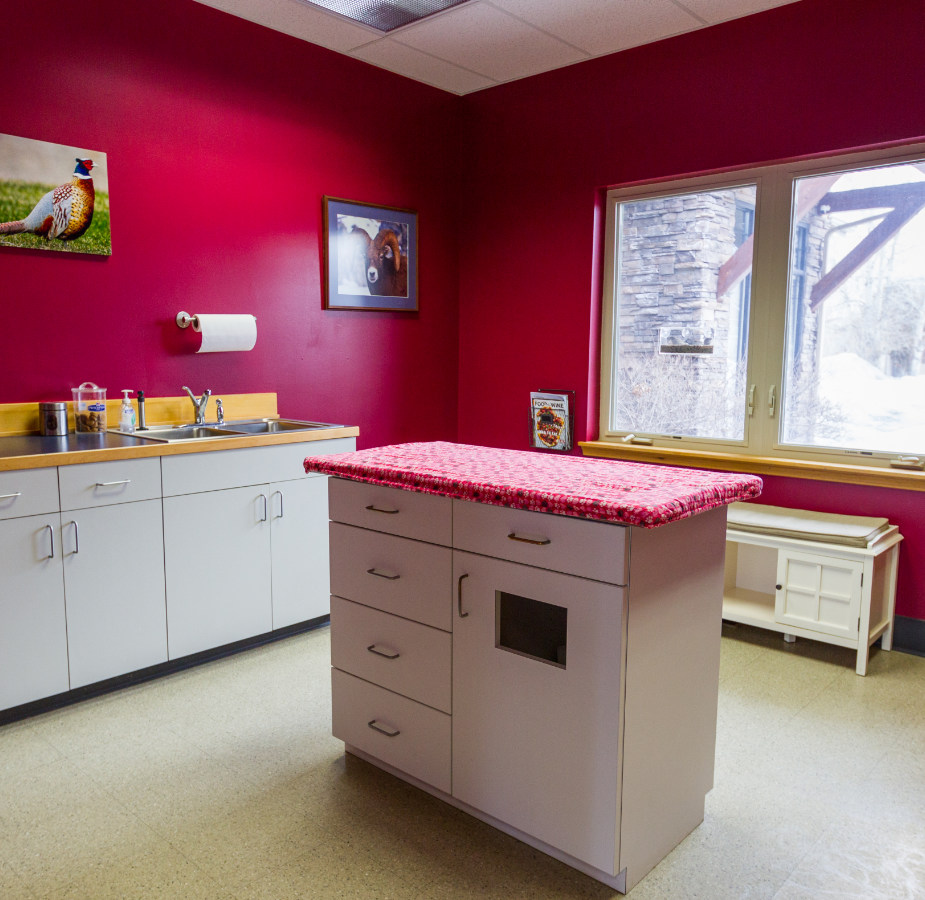 Red exam room for patients