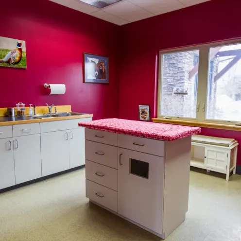 Red exam room for patients