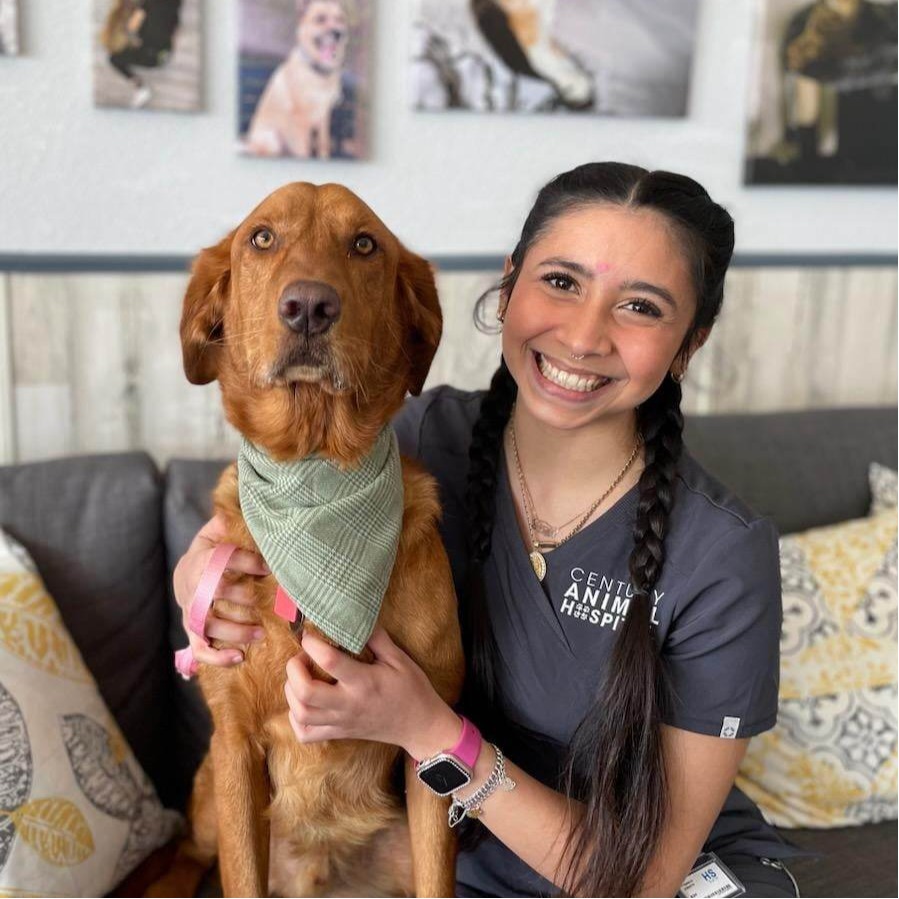 Luz Century Animal Hospital