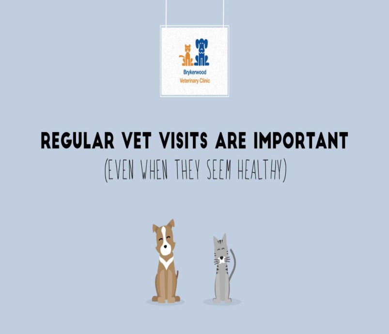 Regular Vet Visits 