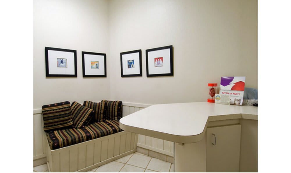 Countryside Animal Hospital of Tempe Exam Room