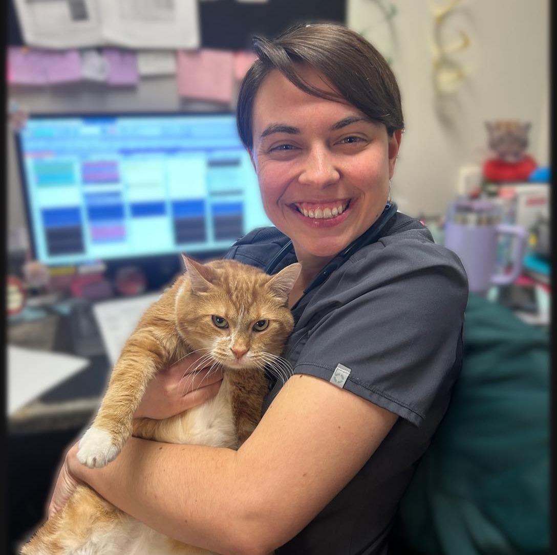 Dr. Alexandra Lierman