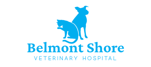 Belmont Shore Veterinary Hospital