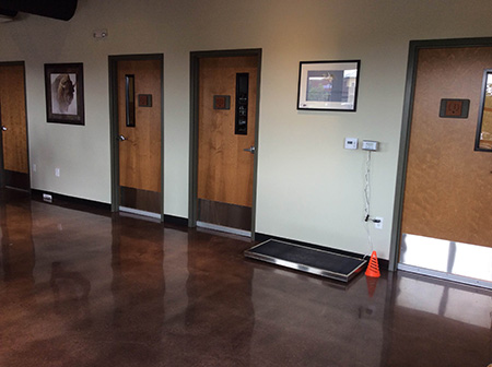 Foxtail Pines Veterinary Hospital Exam Room Entrances