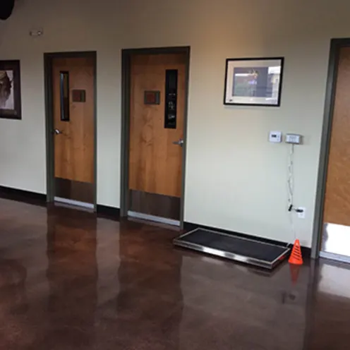 Foxtail Pines Veterinary Hospital Exam Room Entrances