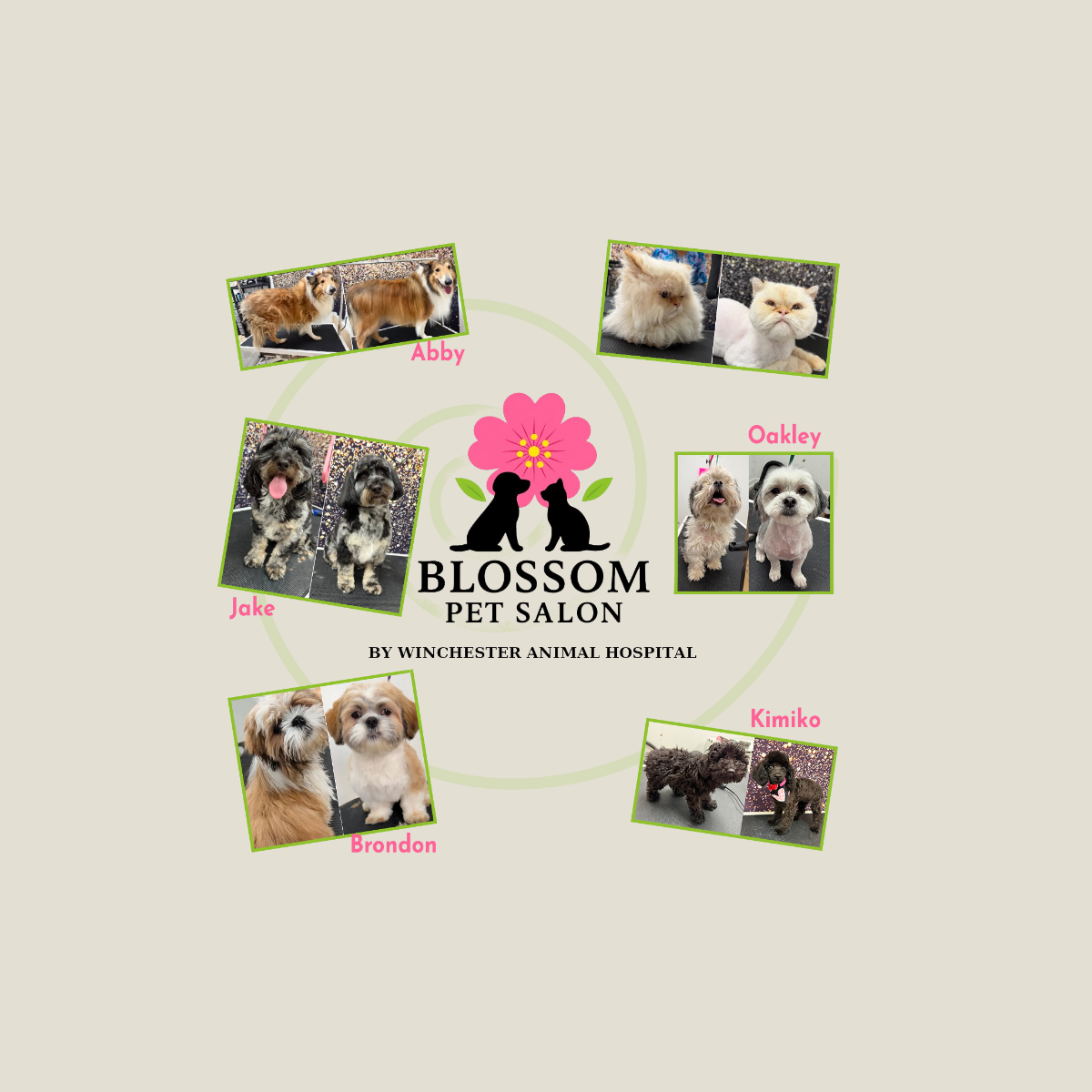 Blossom Pet Salon Collage