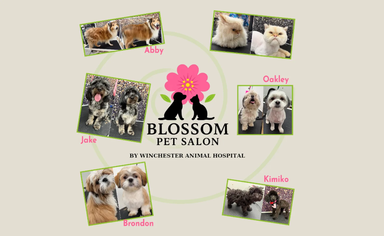 Blossom Pet Salon Collage Blossom Pet Salon Collage