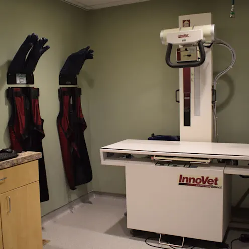 Larkin Veterinary Center Radiology Larkin Veterinary Center Radiology