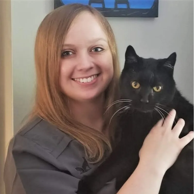 Dr. Rachael Harbaugh Dr. Rachael Harbaugh