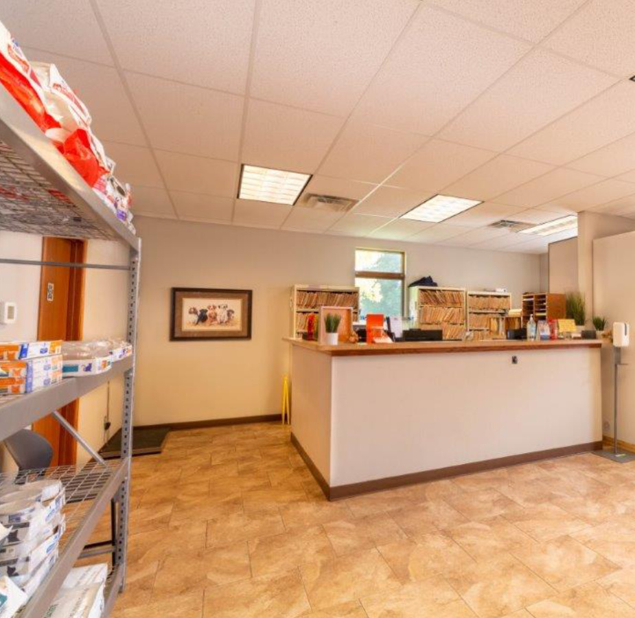 A photo of the welcoming lobby desk at Dunes Animal Hospital.