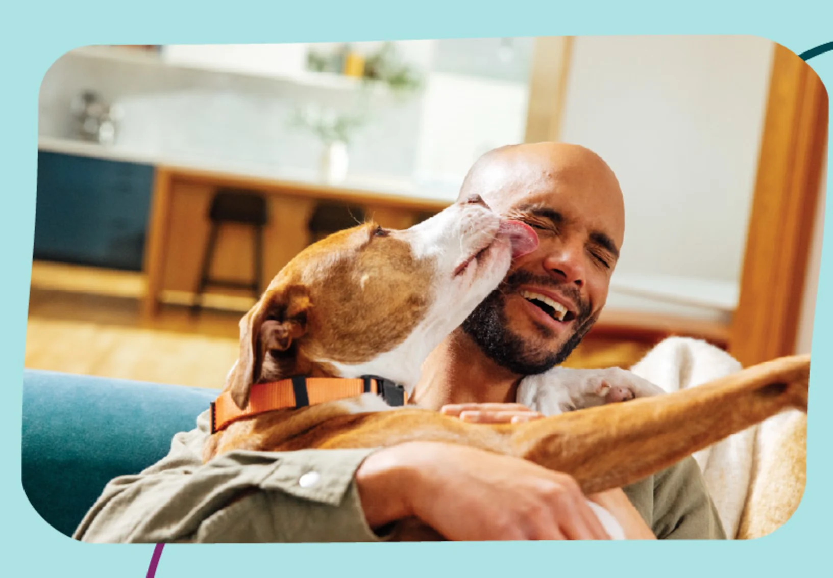 A dog sitting and licking its owner's face in excitement A dog sitting and licking its owner's face in excitement