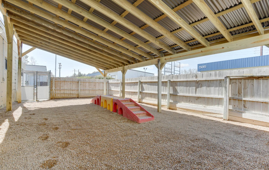 Owl Creek Veterinary Hospital's outdoor dog park where there are plastic staircases they can play in.