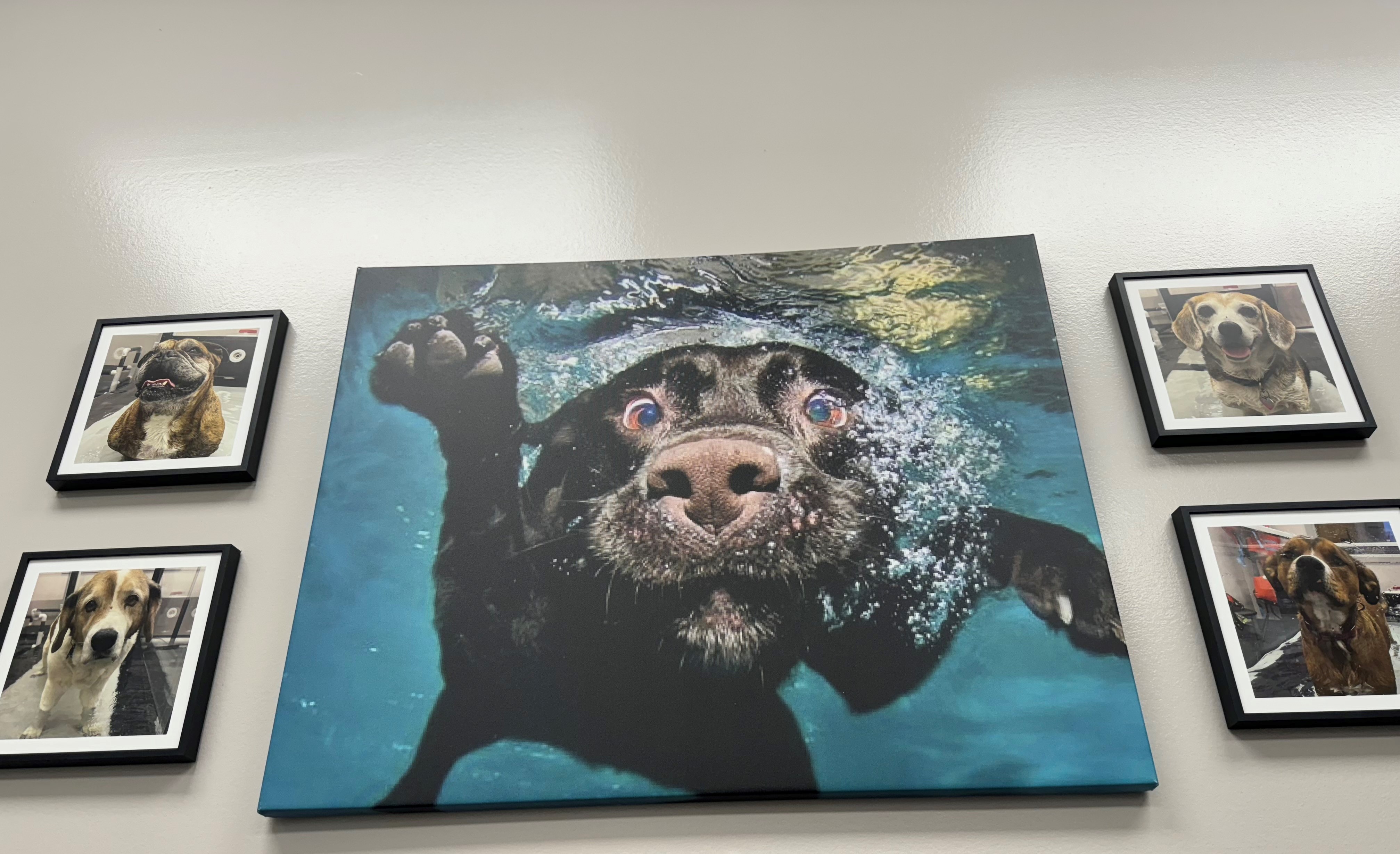 Hydrotherapy area photo gallery of patients