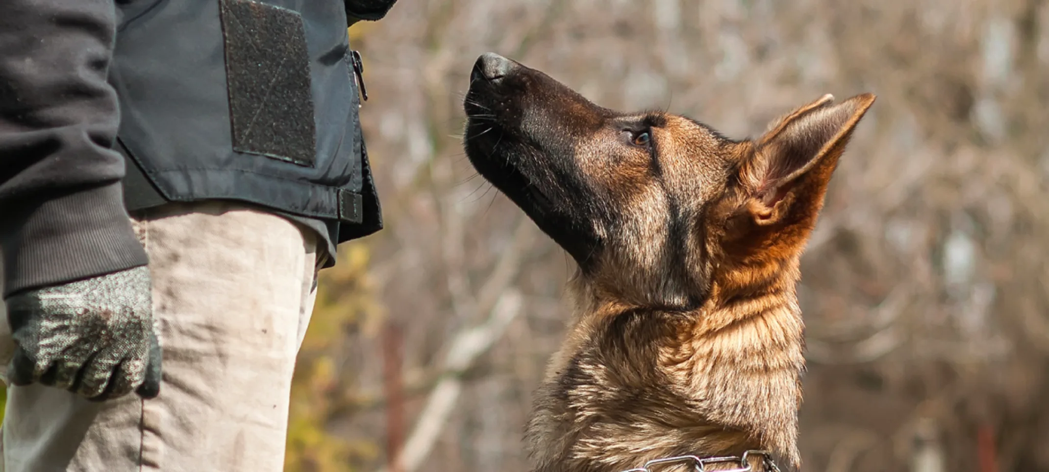 DOG WITH TRAINER DOG WITH TRAINER