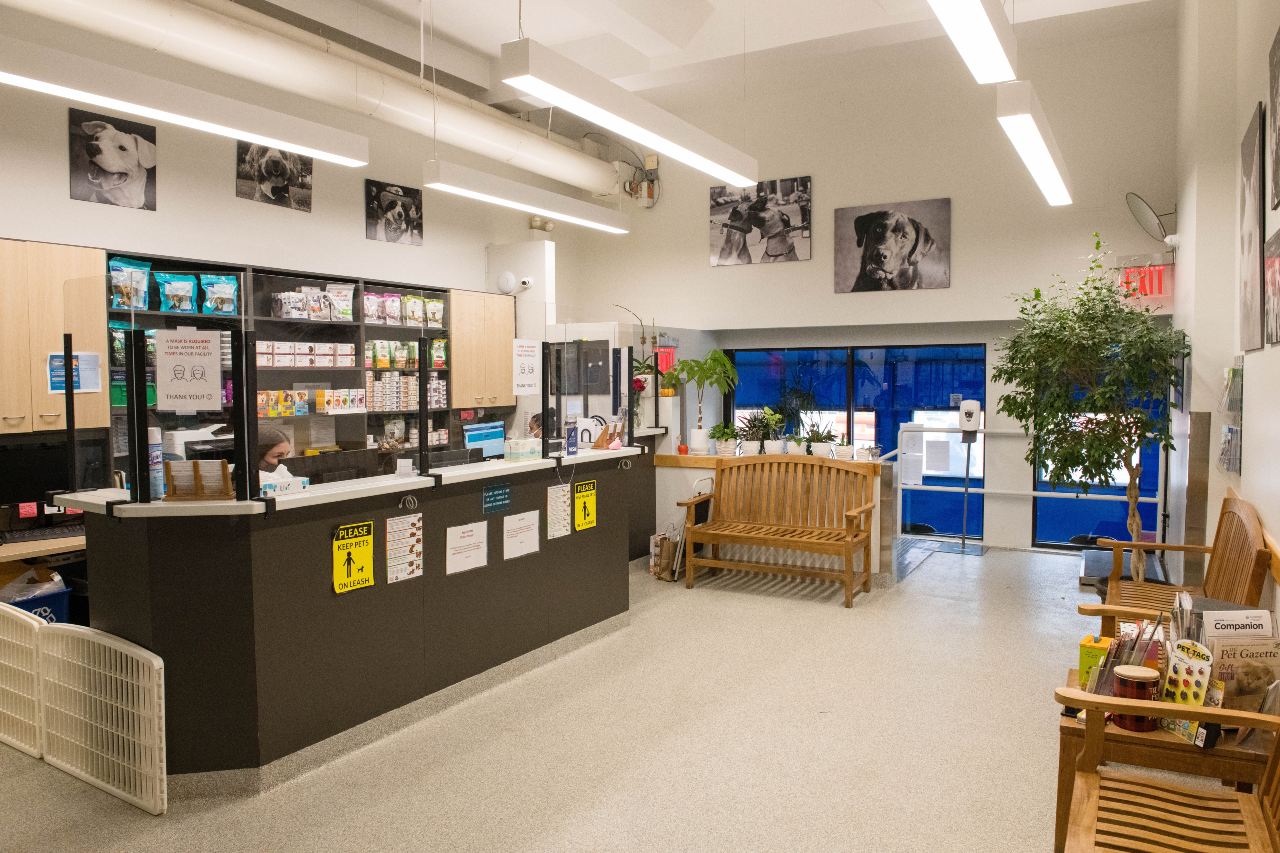 Reception are in West Village Veterinary Hospital.