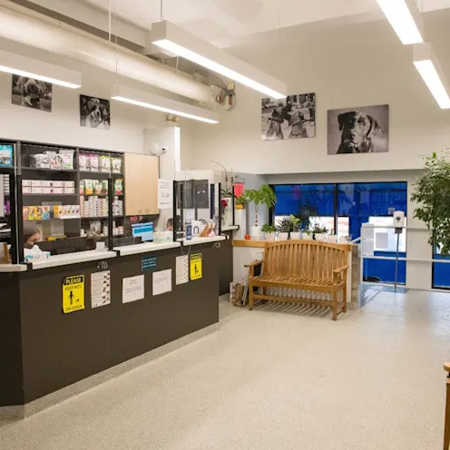 Reception are in West Village Veterinary Hospital. Reception are in West Village Veterinary Hospital.