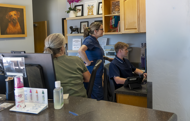 Our Receptionist Area