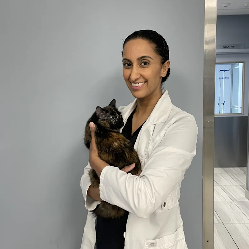 A photo of Dr. Emily Throwe A photo of Dr. Emily Throwe