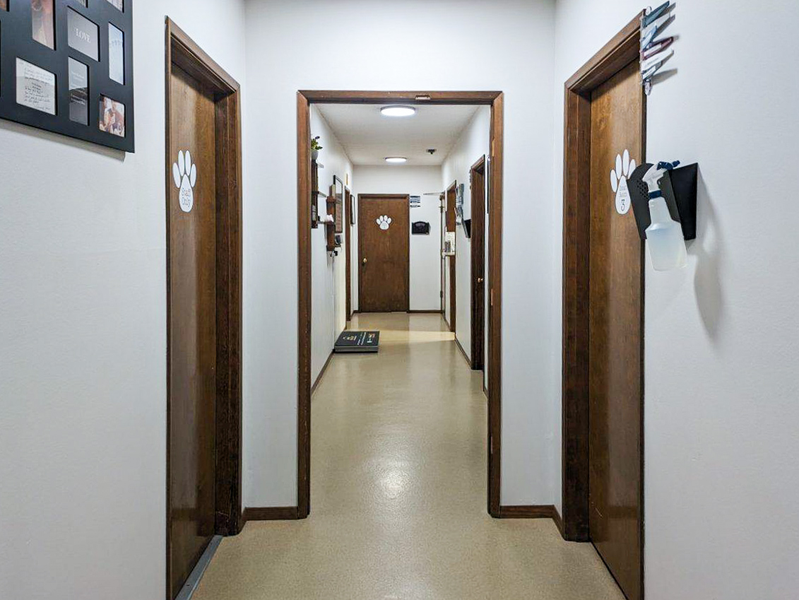 Hallway at Canterbury Animal Hospital