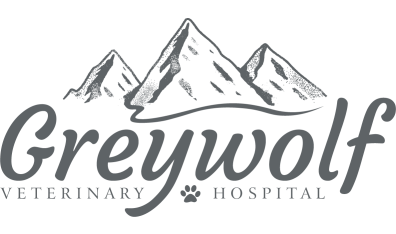 Greywolf Veterinary Hospital - Header 2021 Logo