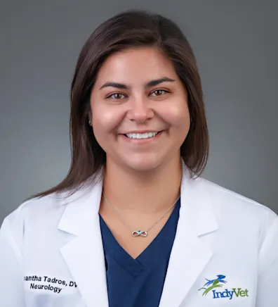 Samantha Tadros Samantha Tadros