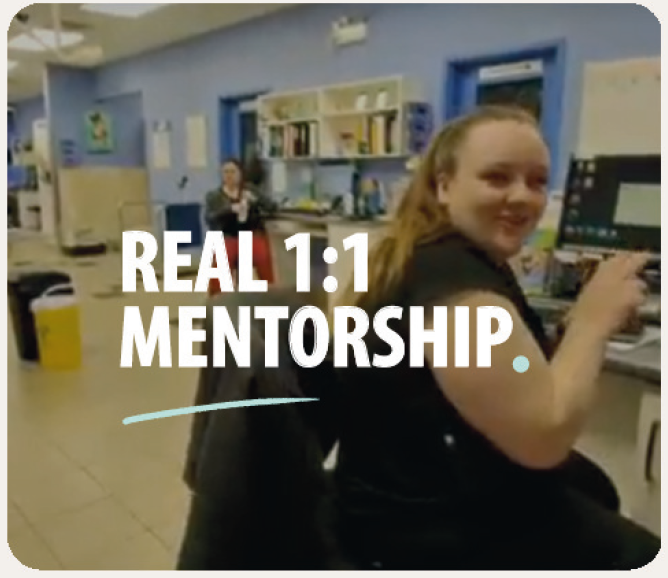 Real 1:1 Mentorship