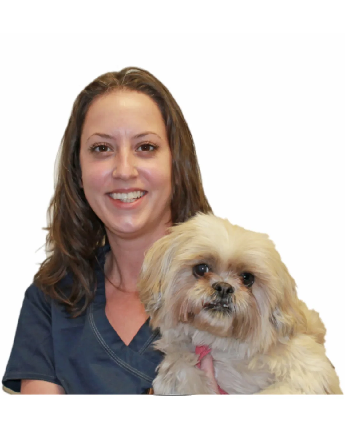 Camilla Sanders Camilla Sanders