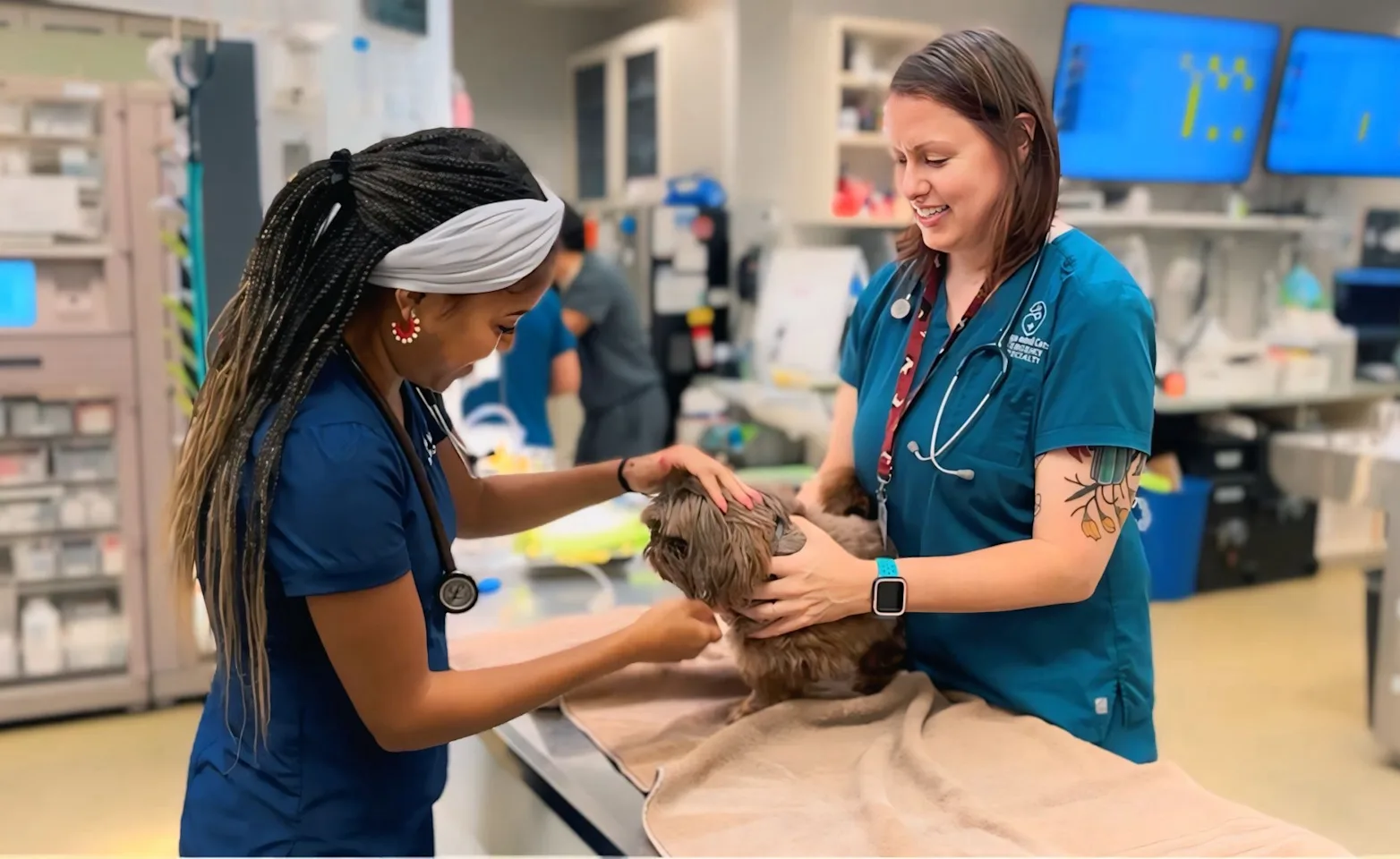 Team members assessing patient Team members assessing patient