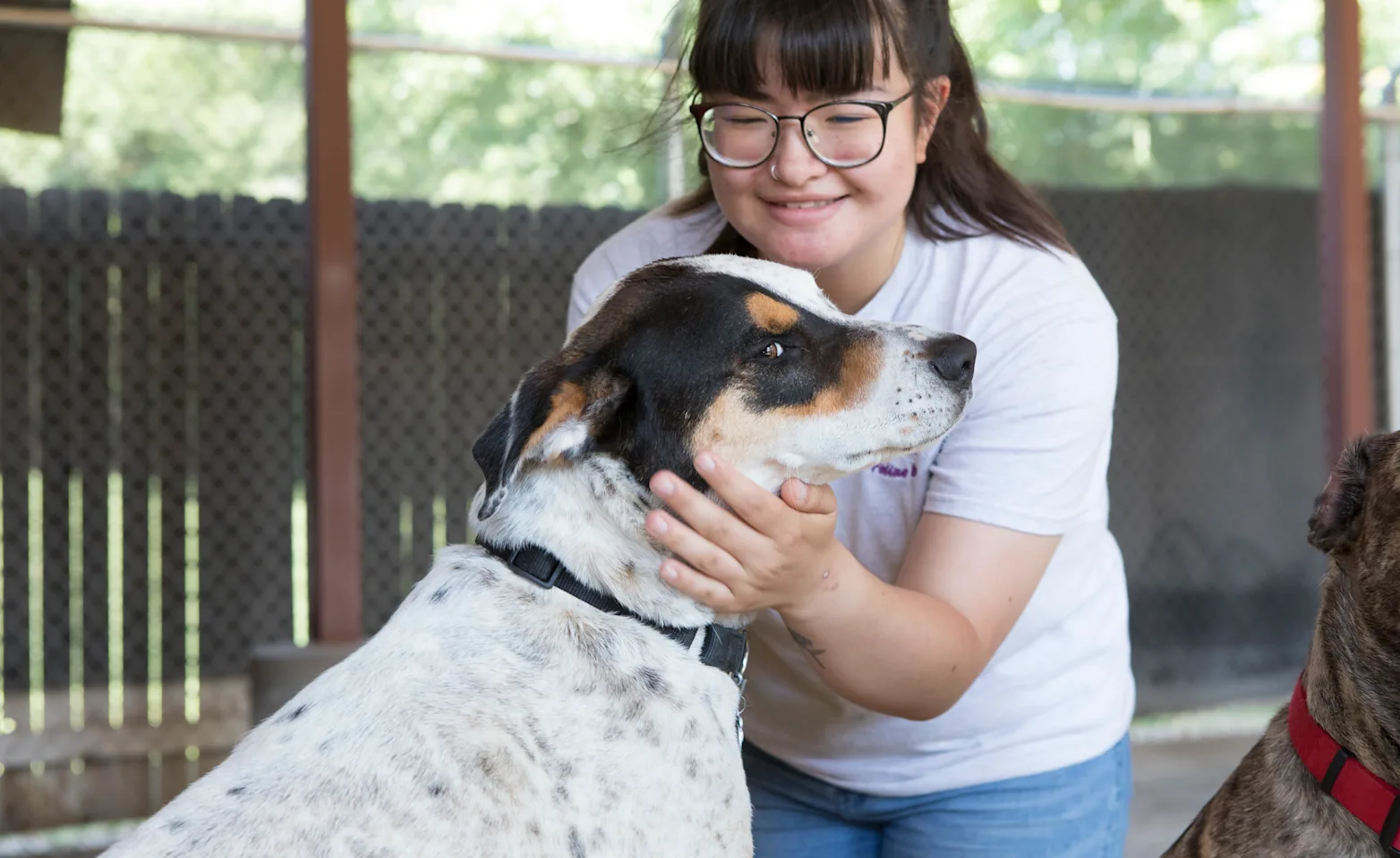 Employee playing with dog Employee playing with dog
