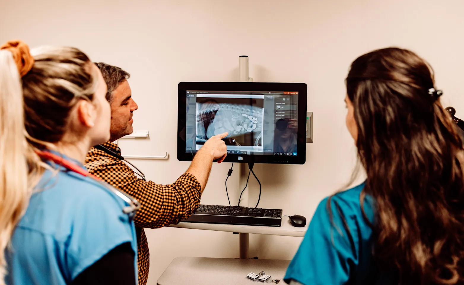 Three veterinarians examining an x-ray Three veterinarians examining an x-ray