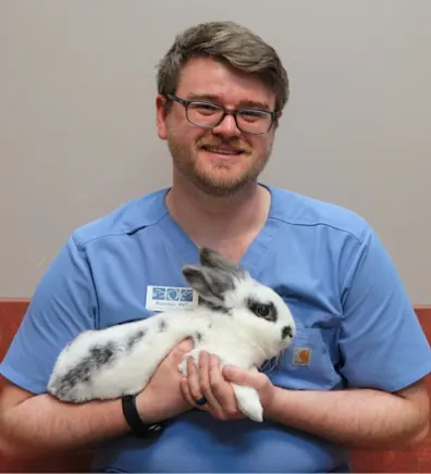 Pencil Puppy Pencil Puppy