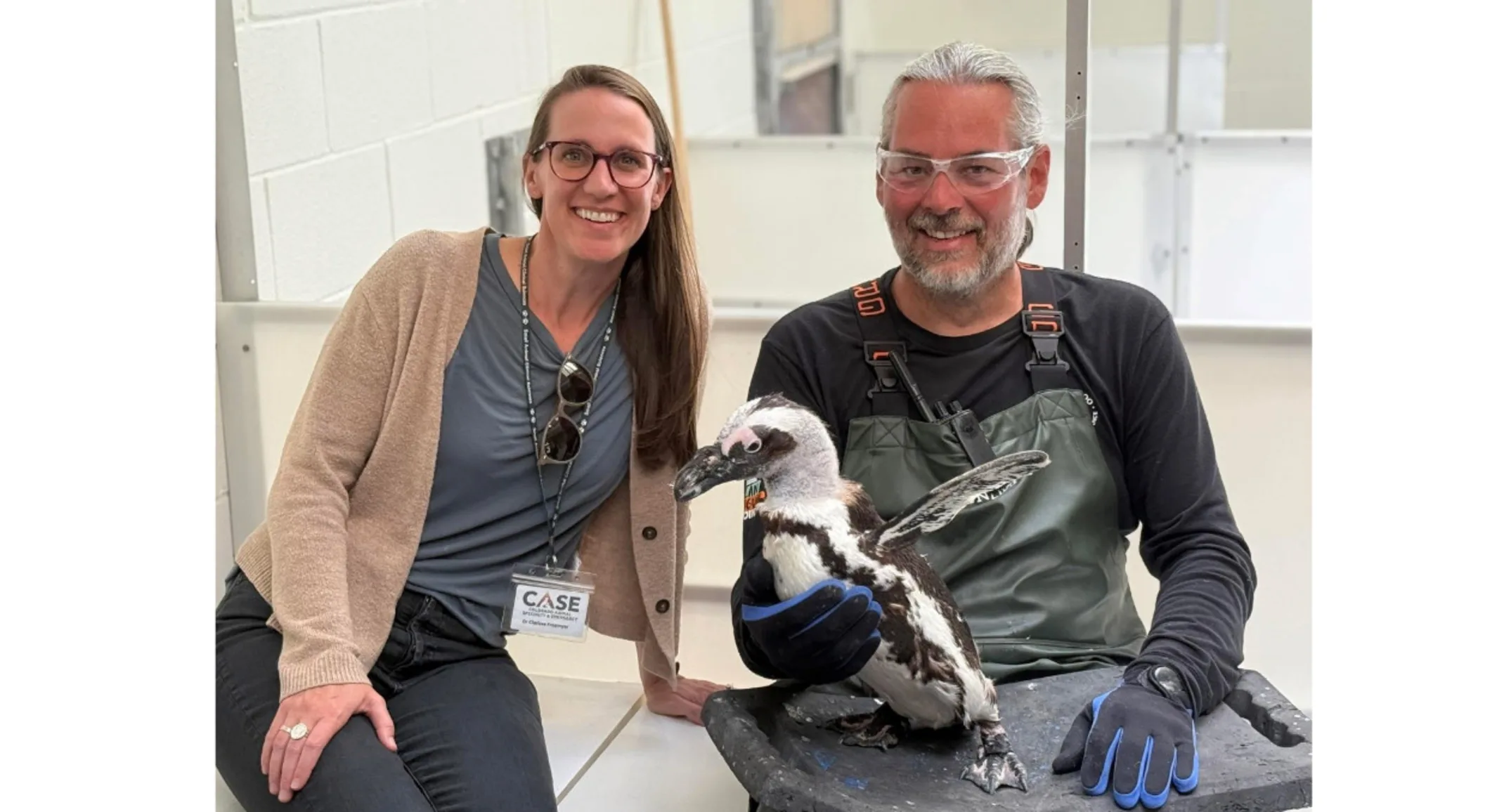 Two people with Keni the African Penguin Two people with Keni the African Penguin