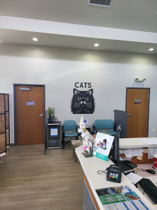 Front Desk Area near Cats Sign