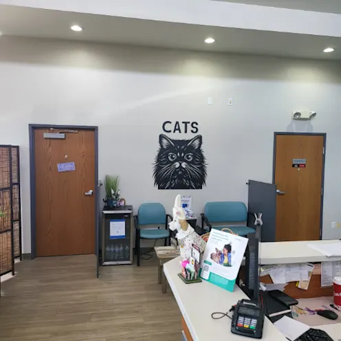 Front Desk Area near Cats Sign Front Desk Area near Cats Sign