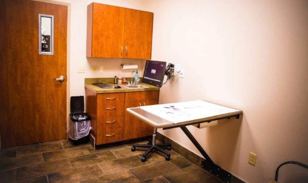 Southside Pet Hospital Exam Table