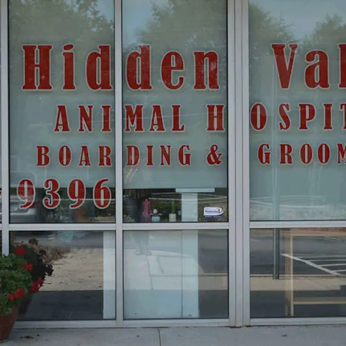 window at Hidden Valley Animal Hospital window at Hidden Valley Animal Hospital