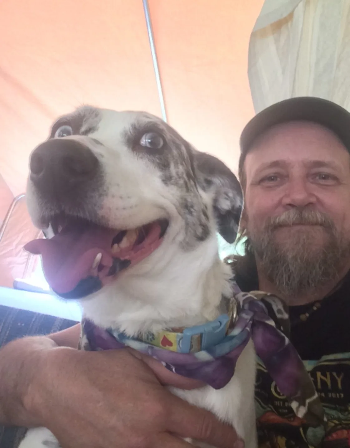 Stella Blue Dunn Stella Blue Dunn