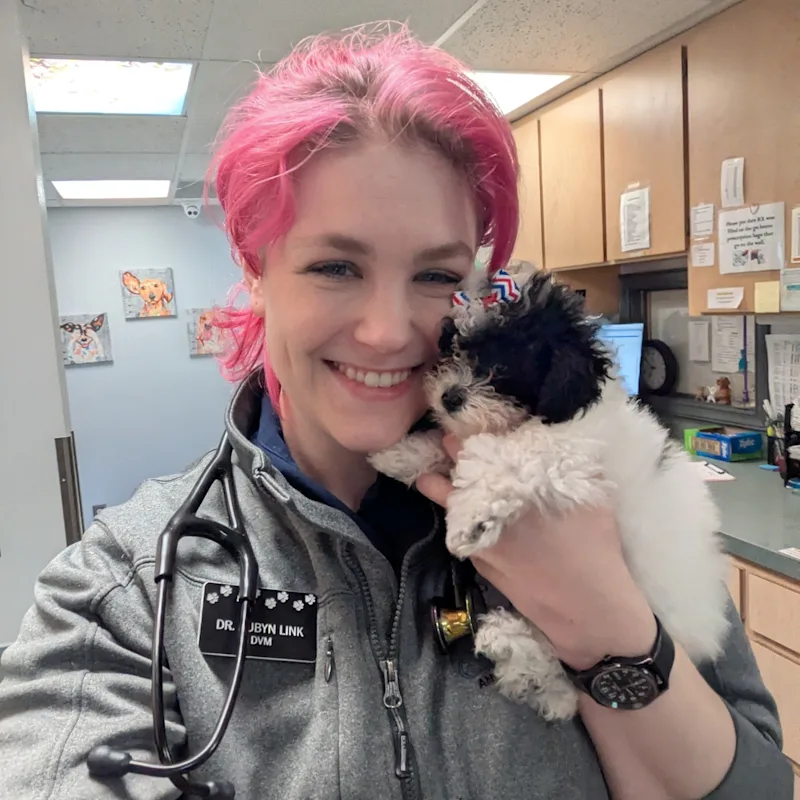 Dr. Aubyn Link Dr. Aubyn Link