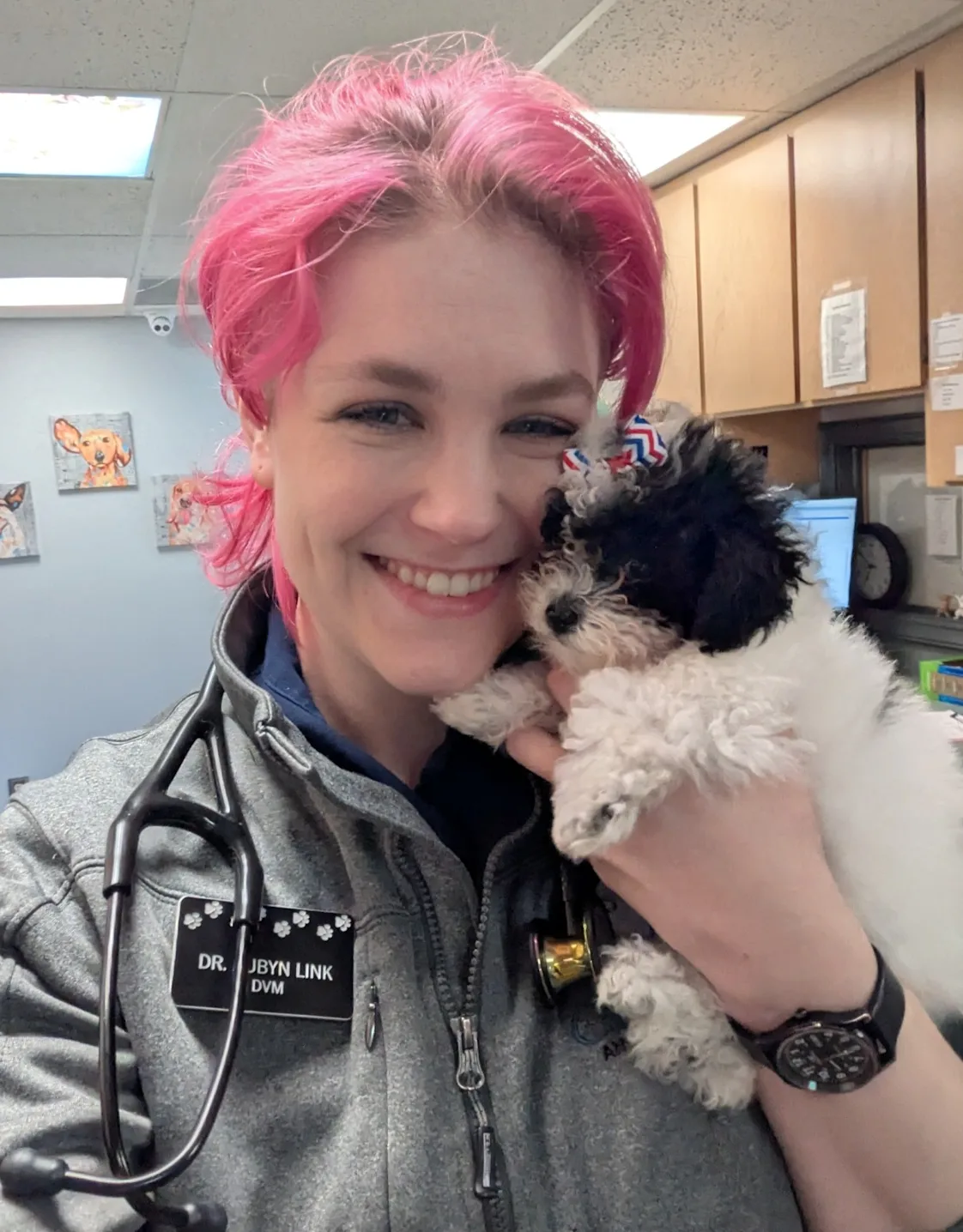 Dr. Aubyn Link Dr. Aubyn Link